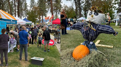 Kelowna Scarecrow Festival returns today under new leadership