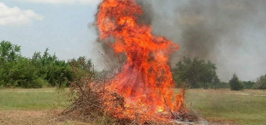 150 piles of wood debris to be burned near Naramata over the coming months